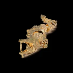 Alligator Vertebrae Earring Pair
