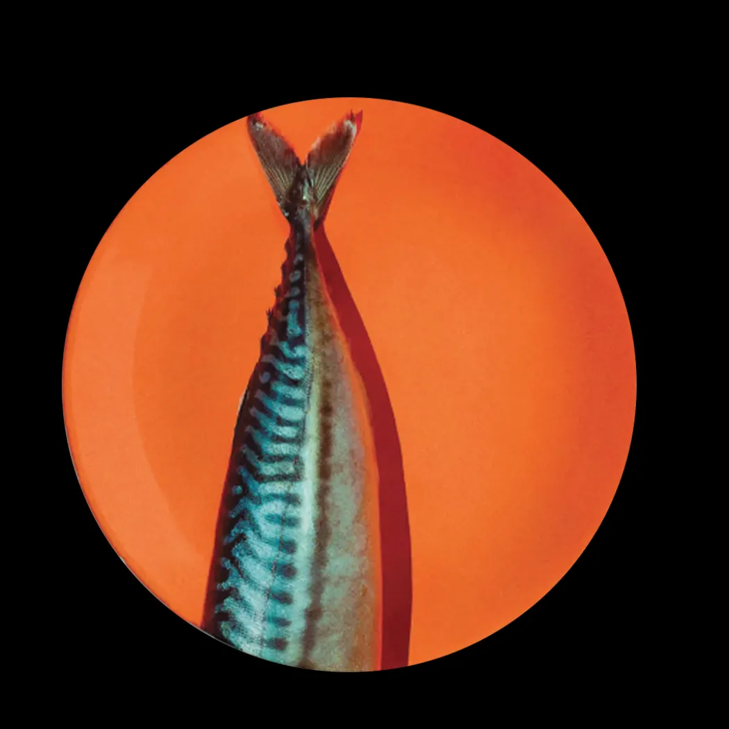 Holy Mackerel Dinner Plate Set