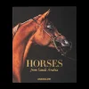 Horses From Saudi Arabia