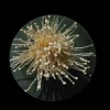 Oki-Enoki Dinner Plate Set