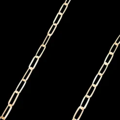 Pin Link Chain Necklace