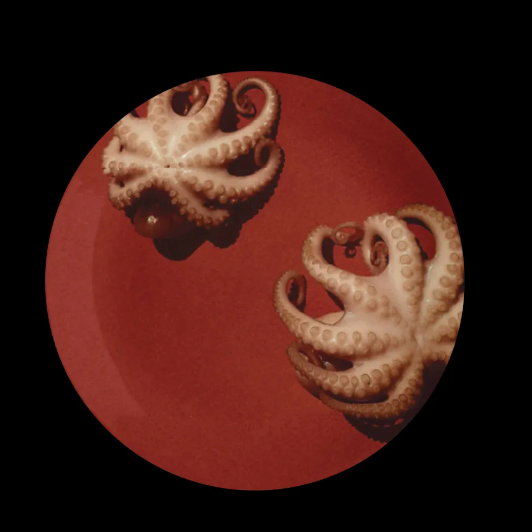 Polypous Dinner Plate Set