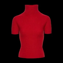 Short-Sleeved Turtleneck